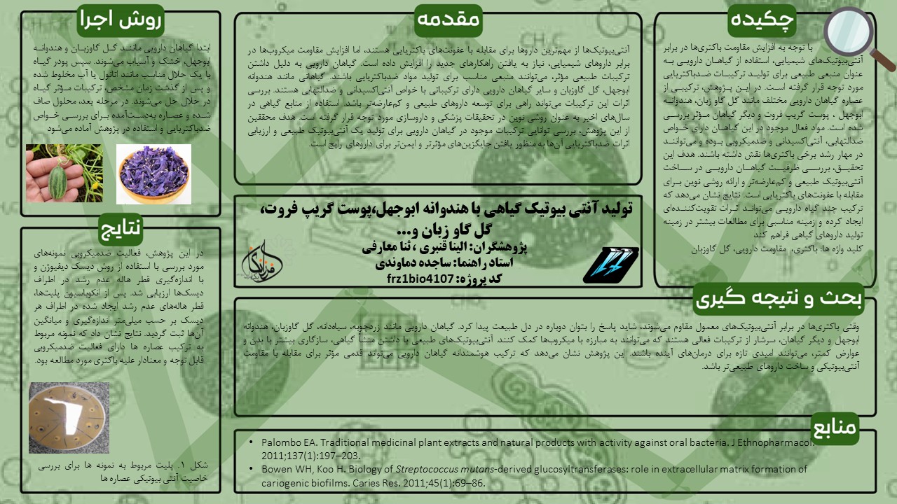 پوستر پروژه